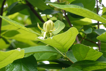 DSC08170_R