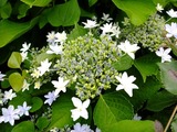 DSCF2276_R
