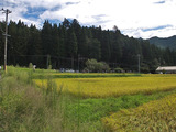 DSCF3776_R