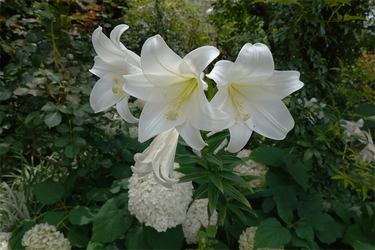 DSC08503_R