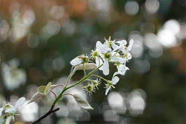 DSC06435_R