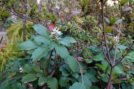 DSC04349_R