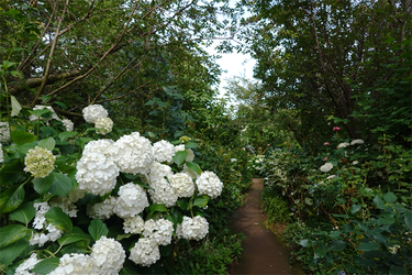 DSC01942_R