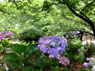 DSCF6616_R