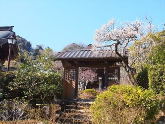DSCF8399_R