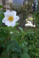 DSC05965_R