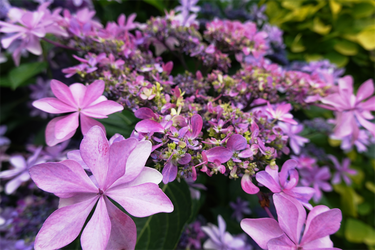 DSC08419_R