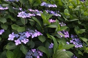 DSCF3191_R