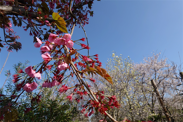 DSC06410_R