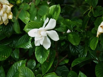 DSC01124_R