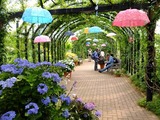 DSCF2376_R