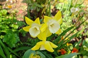DSCF2475_R