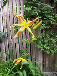 DSCF1193_R