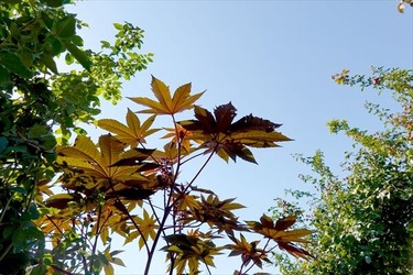DSC02765_R