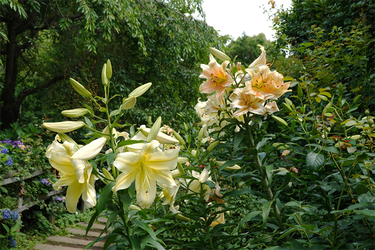 DSC08472_R