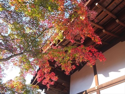 DSCF9544_R
