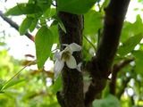DSCF2192_R
