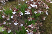 DSCF1289_R