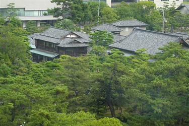DSC09559_R