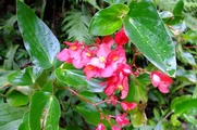 DSCF4265_R