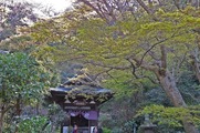 DSCF2012_R