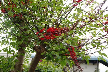DSC08218_R