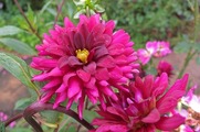 DSCF5003_R