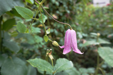 DSC08950_R