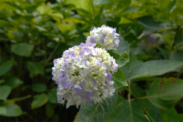 DSC09158_R