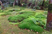 DSCF7434_R