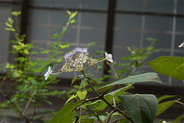 DSC09091_R