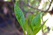 DSCF2004_R