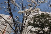DSCF0241_R