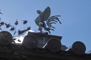 DSCF7846_R