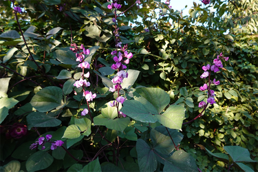 DSC02951_R