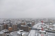 DSCF8528_R