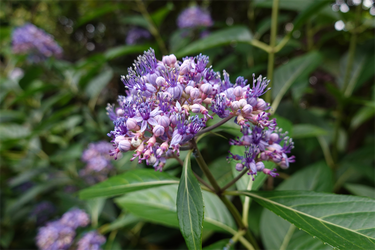 DSC08459_R