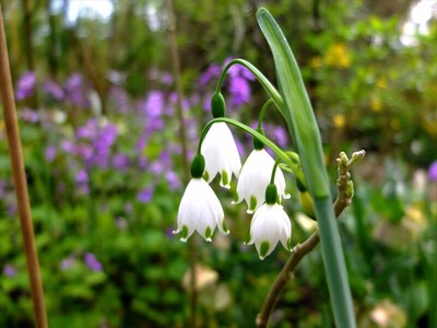 DSCF5064_R