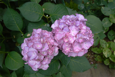 DSC08093_R