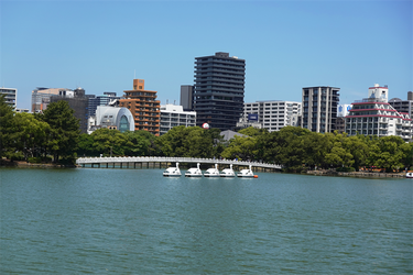 DSC08015_R