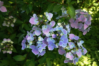 DSC07738