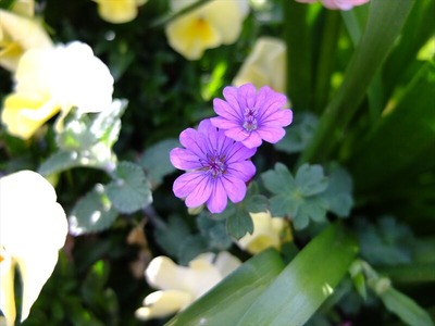 DSCF4892_R