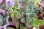 DSCF0237_R