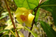 DSCF0840_R