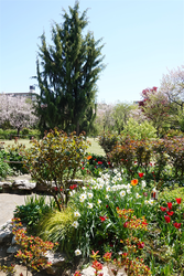 DSC06623_R