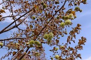 DSCF0700_R