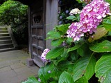 DSCF2647_R