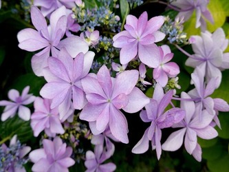 DSC00978_R