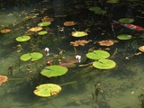 DSCF3759_R