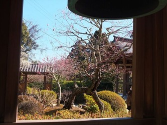 DSCF8404_R